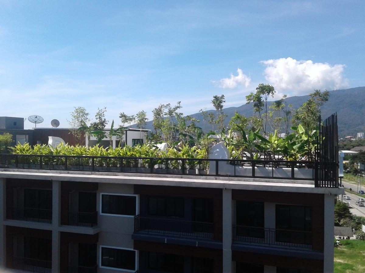 Icheck Inn Trams Square Chiang Mai Exteriör bild